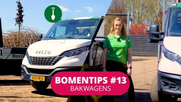 Bomentip #13 Bakwagens