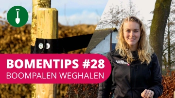 Bomentip #28 | Boompalen weghalen