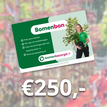 Bomenbon €250,-