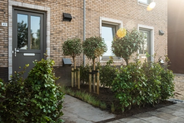 Privacyrijke voortuin